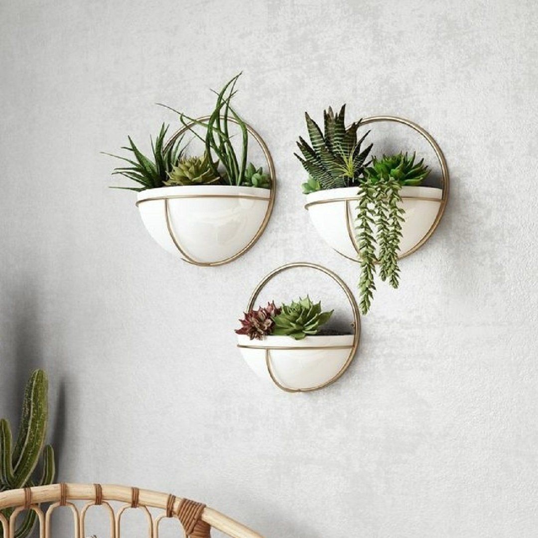Everything’s Better with Wall Planters! Writings On The Wall