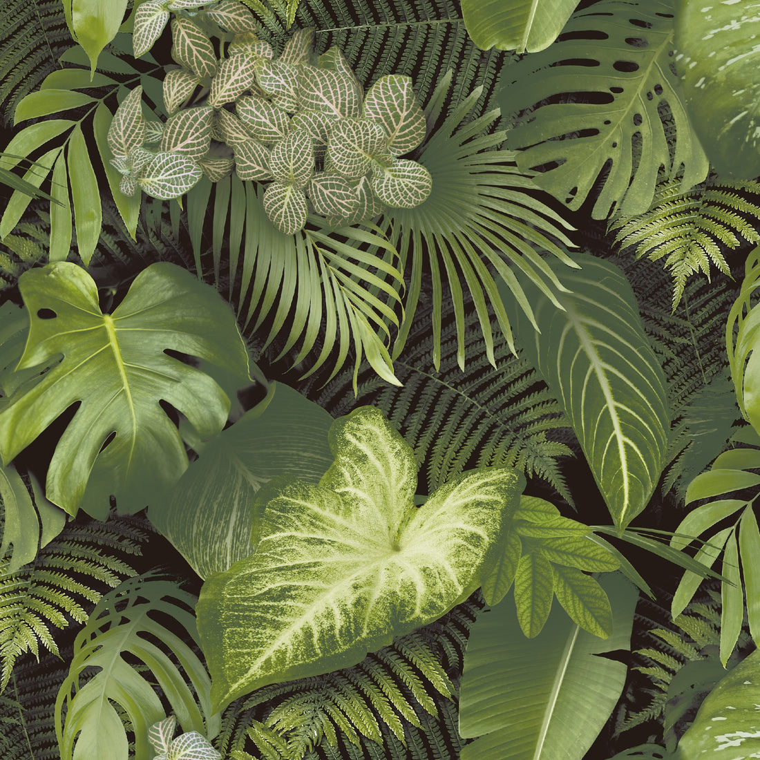 Jungle vibes - Green Wallpaper