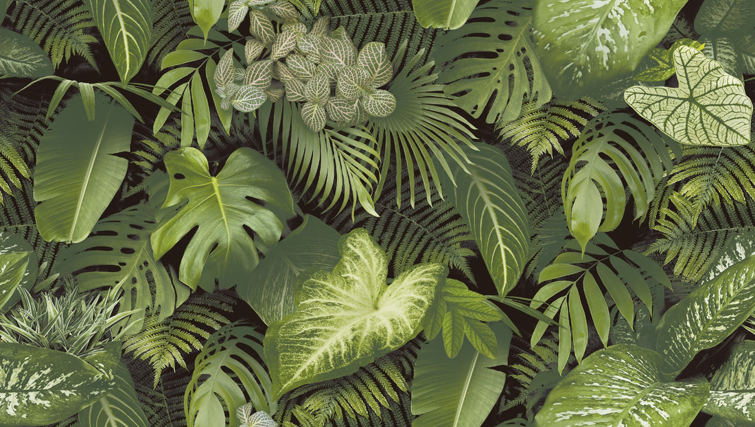 Jungle vibes - Green Wallpaper