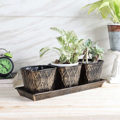 Black & Gold Metal Table Planters with Tray - Set of 3 Writings On The Wall home decor