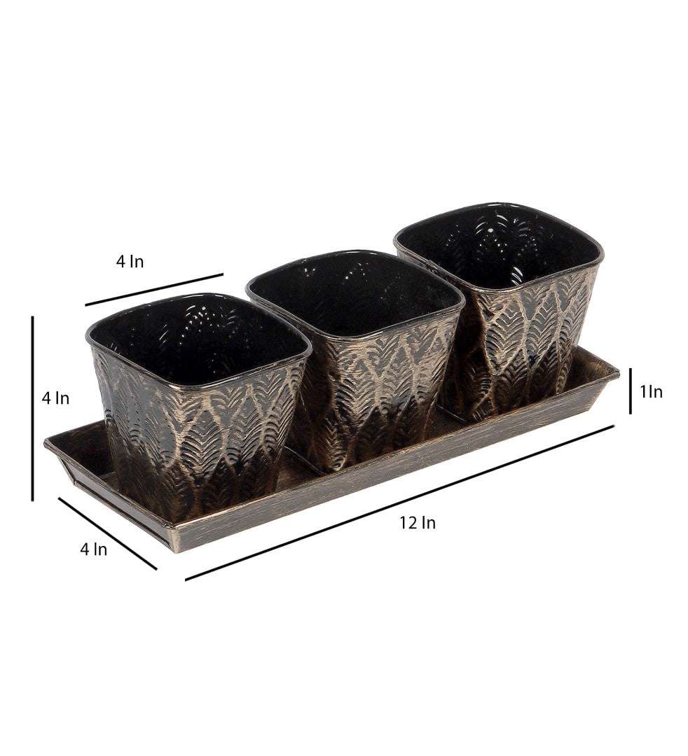 Black & Gold Metal Table Planters with Tray - Set of 3 Writings On The Wall home decor