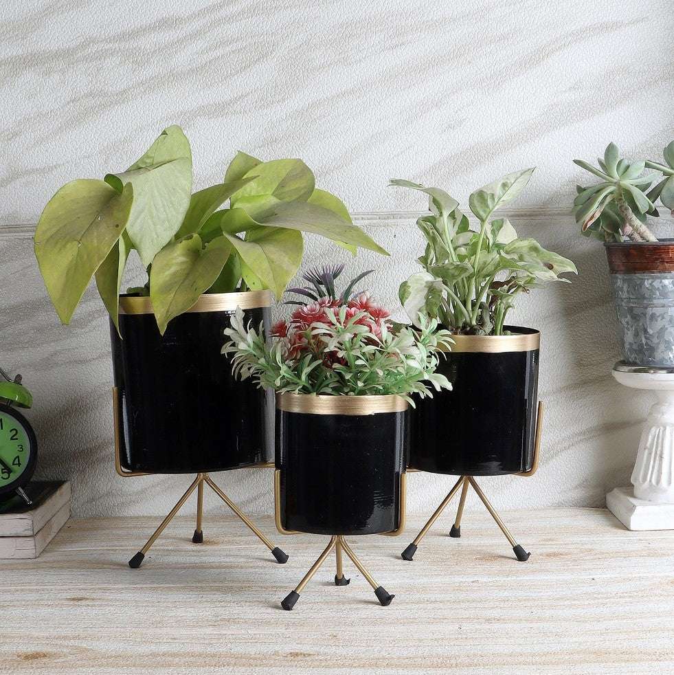 Black & Gold Metal Votive Planter - Set of 3 Writings On The Wall home decor