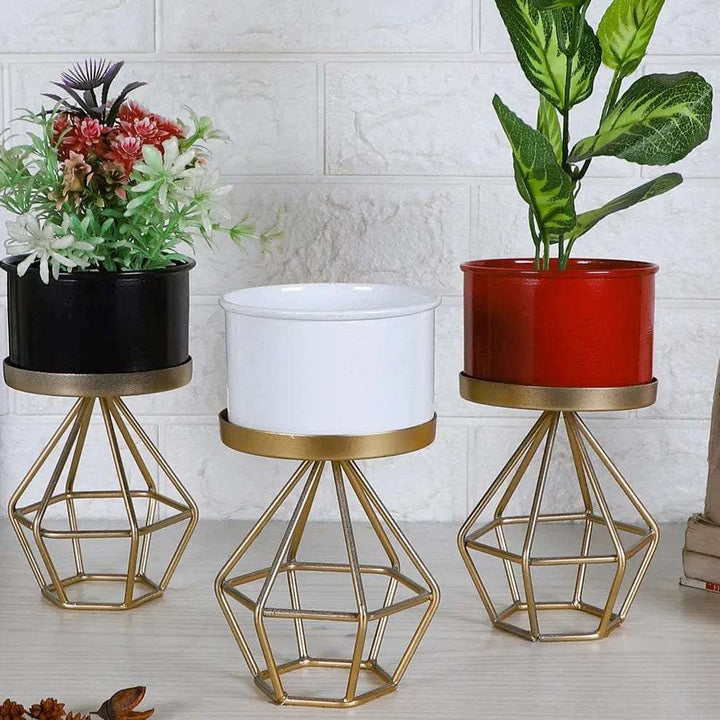 Diamond Colored Planter - Set of 3 Writings On The Wall home decor