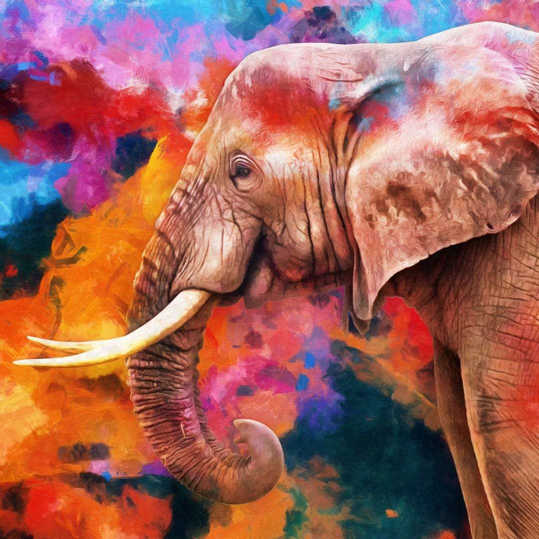 Multicolor Elephant Painting Writings On The Wall Canvas Print