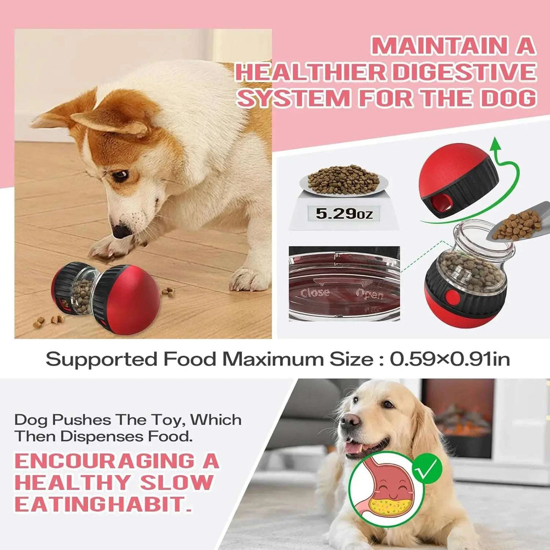 Dog Puzzle Toy Elliptical Track Rolling Increase Intelligence Ball Leaky Food Develop Good Habits Durable Interactive Pet Toys Writings On The Wall 