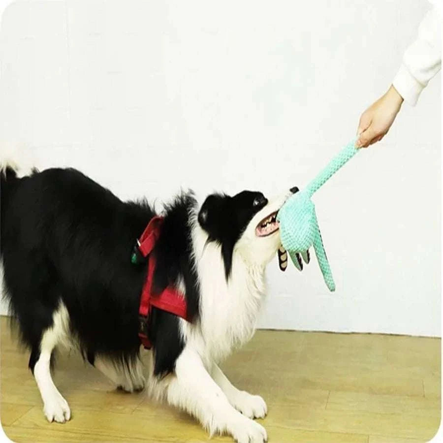 Dog pet plush octopus toy interactive sound anti-demolition home large and small dog boredom companion toy Writings On The Wall 