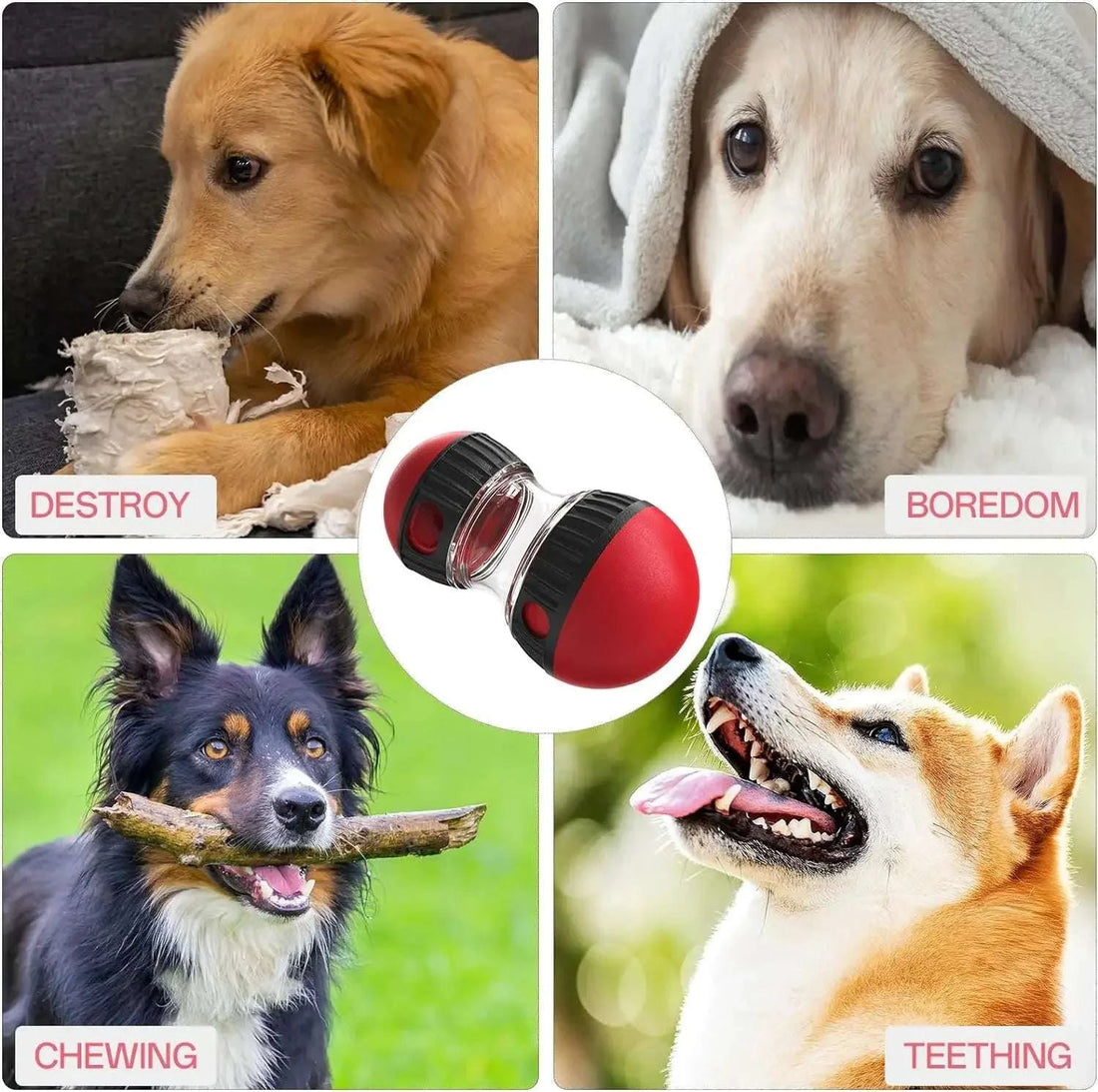 Dog Puzzle Toy Elliptical Track Rolling Increase Intelligence Ball Leaky Food Develop Good Habits Durable Interactive Pet Toys Writings On The Wall 