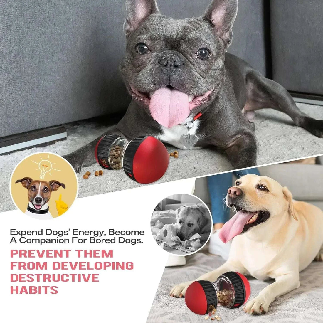 Dog Puzzle Toy Elliptical Track Rolling Increase Intelligence Ball Leaky Food Develop Good Habits Durable Interactive Pet Toys Writings On The Wall 