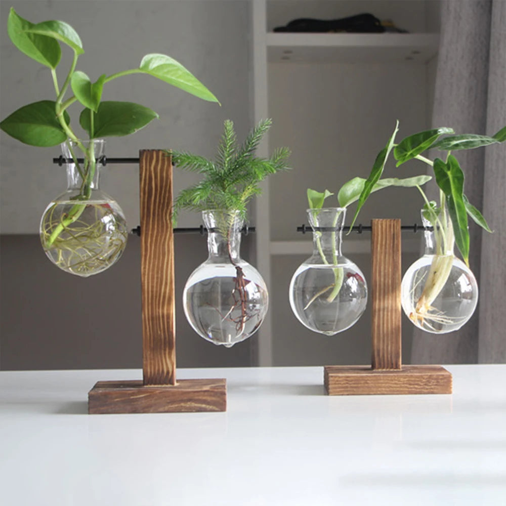 Creative Glass Desktop Planter Bulb Vase Wooden Stand Hydroponic Plant Container Decor Home Tabletop Decor Vases