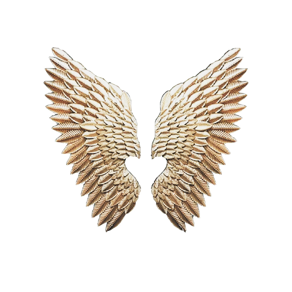 Designer Metal Wings Wall Hanging